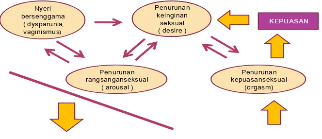 Gambar 2.2 :  Siklus Disfungsi Seksual Pada Wanita. 20 
