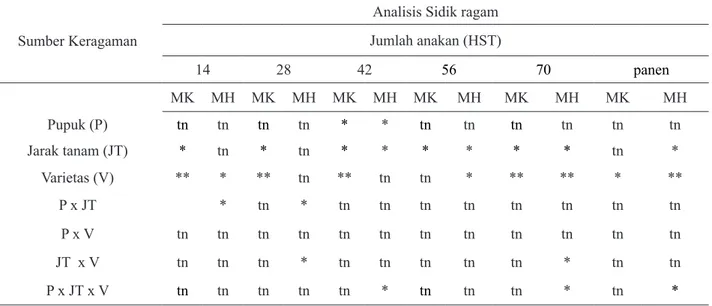 Tabel 11. Analisis Sidik Ragam  Jumlah Anakan Tanaman Padi di Desa Sukamandi Jaya, Kecamatan Ciasem, Kabupaten  Subang MK Th 2012 dan MH 2012/2013