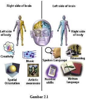 Gambar 2.1Ilustrasi Fungsi Otak Kanan & Otak Kiri