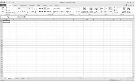 Gambar 1.10 Tampilan Program Excel 2010  
