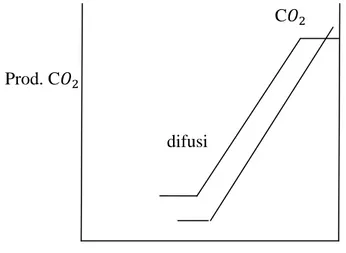 Gambar 1. Skema hubungan antara proses difusi air, jumlah C  dan waktu  pematangan pisang (Zuidar, 2000)