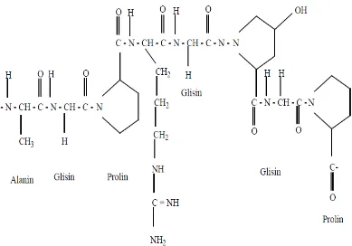 Gambar 2.2 Struktur Kimia Gelatin (Chaplin,2006)  