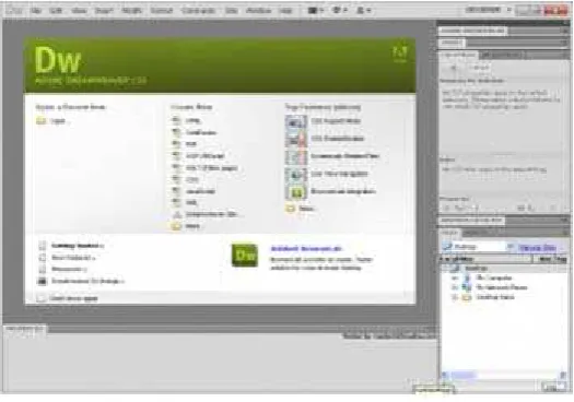 Gambar 2.1 Starter Page 
