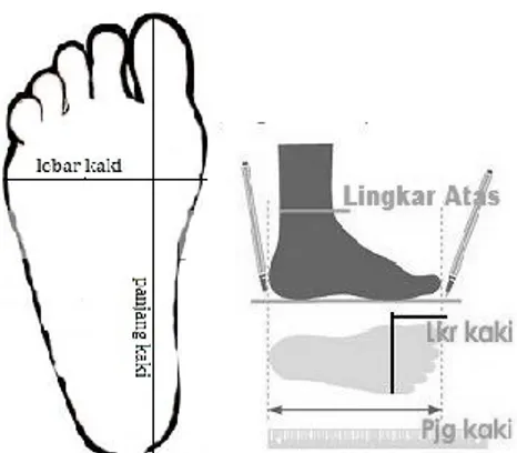 Gambar 1. Anthropometri Perancangan Sepatu 