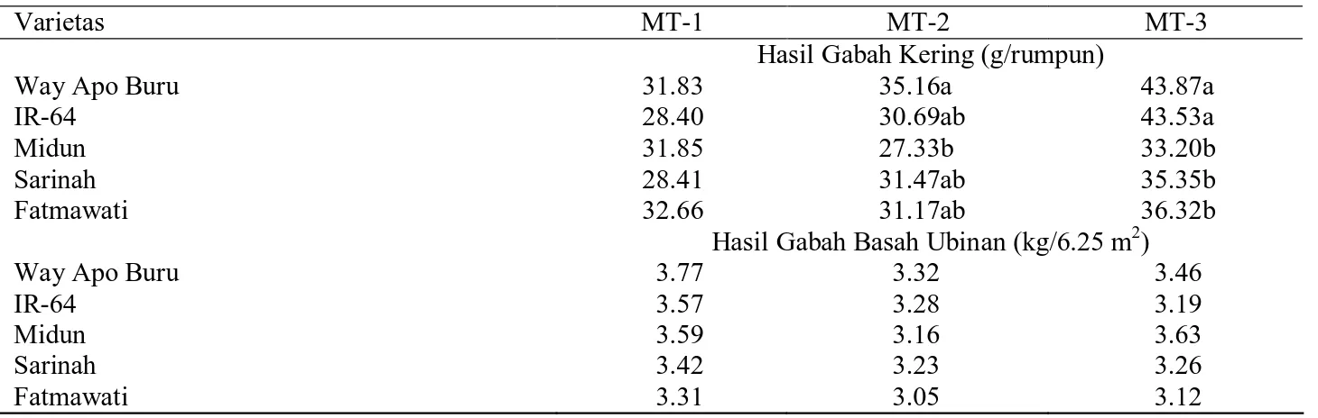 Tabel 4.  Hasil gabah varietas modern, lokal, dan tipe baru selama tiga musim 
