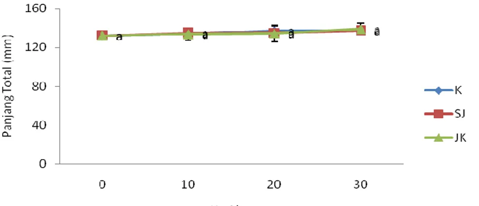 Gambar 9. Grafik panjang total. (K) kontrol, (SJ) sekat jaring, (JK) jaring keliling. Huruf kecil yang berbeda dalam  grafik menunjukkan beda nyata (p&lt;0,05)