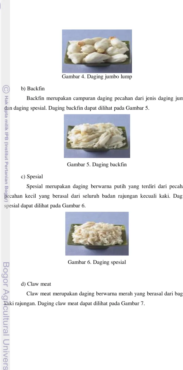 Gambar 4. Daging jumbo lump 