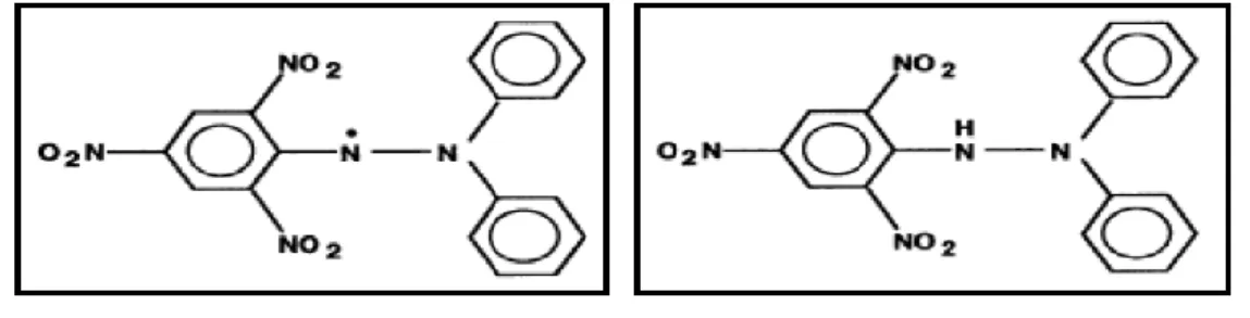 Gambar 1. Struktur DPPH (a) Radikal Bebas dan (b) Radikal Bebas yang Telah Bereaksi dengan   dengan Antioksidan (Molyneux, 2004)