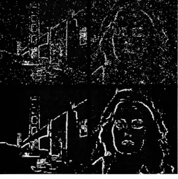 Figure 9.12 Edge detection from noisy images. Upper two, Sobel. Lower two, stochastic