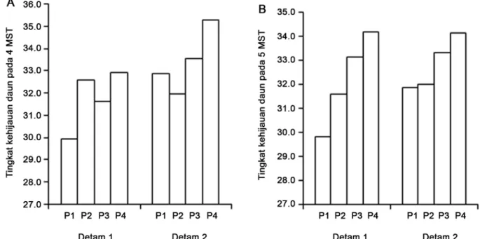 Gambar 1. Pengaruh varietas dan perlakuan invigorasi benih terhadap kandungan klorofil daun pada 4 MST (A) dan pada 5 MST (B)