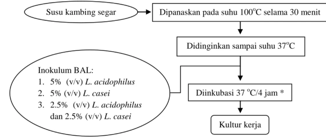 Gambar 2. Diagram alir pembuatan kultur kerja dengan modifikasi metode Daulay (1991)  