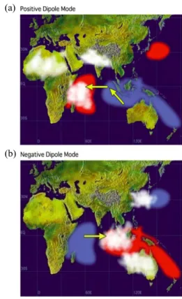 Gambar 2   Proses terjadinya Indian Ocean  Dipole di Samudra Hindia, (a)  IOD Positif, (b) IOD Negatif