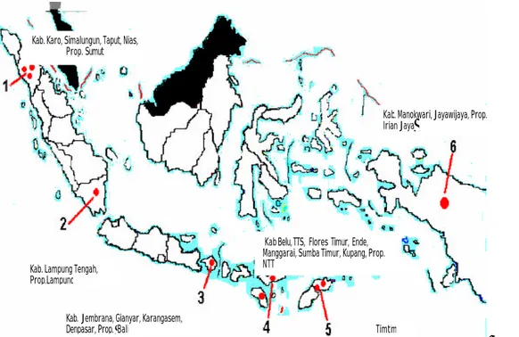 Gambar 5  Daerah taeniasis di Indonesia (Depkes RI  2006). 