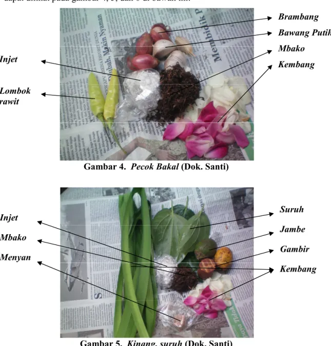 Gambar 4. Pecok Bakal (Dok. Santi)