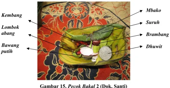 Gambar 15. Pecok Bakal 2 (Dok. Santi)