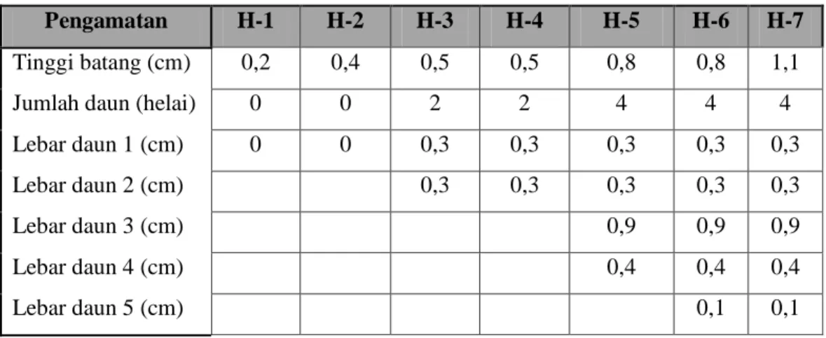 Tabel 4.1 Pengamatan Bibit Sawi Selama 7 Hari 