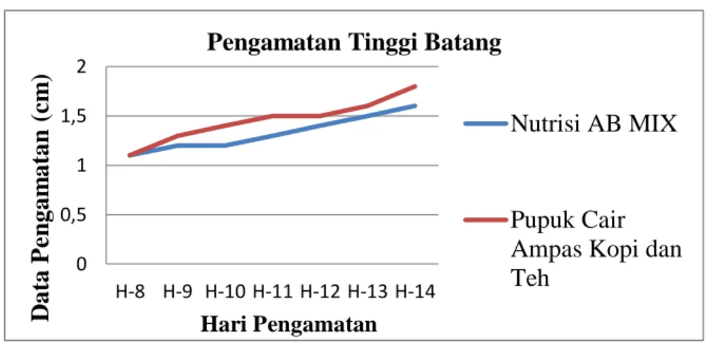 Gambar 4.1 Grafik Pengamatan Tinggi Batang  