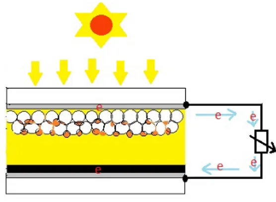 Gambar 2. Sistem kerja DSSC  1.4 Karakteristik  Titanium Dioxide ( TiO 2 )  TiO2 merupakan bahan semikonduktor yang  bersifat inert, stabil terhadap fotokorosi dan  korosi oleh bahan kimia