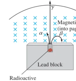 FIGURE 30–4 Alpha and beta raysare bent in opposite directions by amagnetic field, whereas gamma raysare not bent at all.