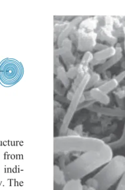 FIGURE 4.15The atomic structureof solid benzene as deduced fromneutron diffraction. The circles indi-cate contours of constant density