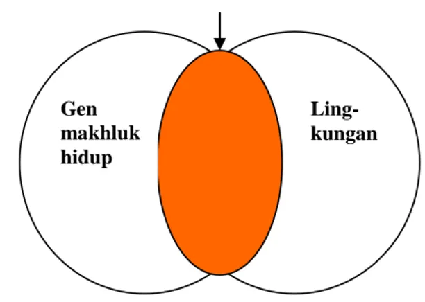 Gambar 1.1. Diagram yang menunjukkan adanya interaksi antara genetic dan lingkungan. 