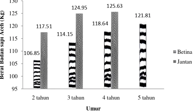 Grafik 1: Bobot badan sapi Aceh sesuai dengan bertambahnya umur  Penaksiran bobot badan sapi Aceh diperoleh dari rumus lingkar dada dan 