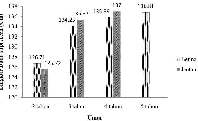 Grafik 2: Lingkar dada sapi Aceh sesuai dengan bertambahnya umur  Rataan lingkar dada sapi Aceh betina pada kelompoh umur 2 tahun 126,71 