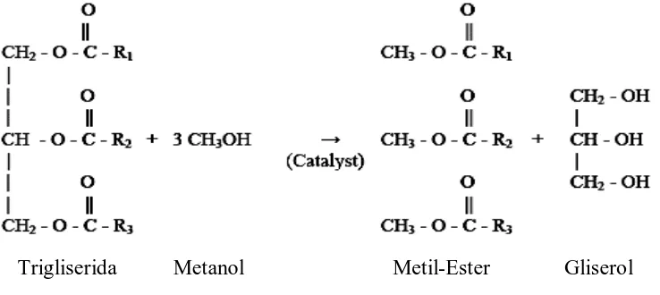 Gambar 2.1 Reaksi Transesterifikasi 