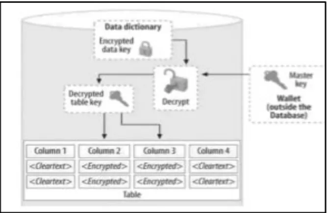 Gambar 1 : Alur proses tranparent data  encryption 
