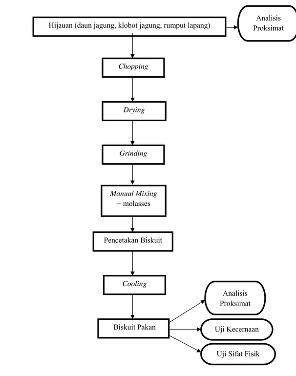Gambar 1.   Diagram Alur Proses Pembuatan dan Pengujian Biskuit Rumput Lapang  dan Limbah Tanaman Jagung  