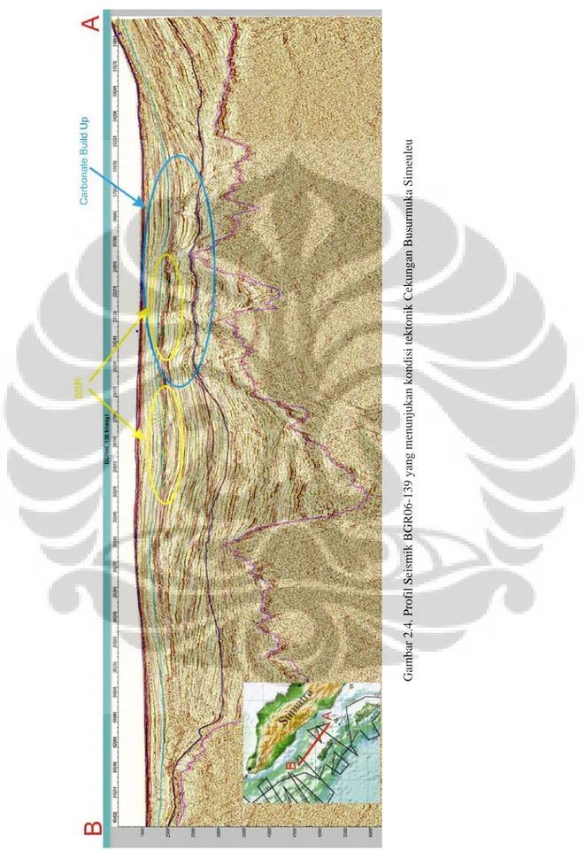 Gambar 2.4. Profil Seismik BGR06-139 yang menunjukan kondisi tektonik Cekungan Busurmuka Simeuleu