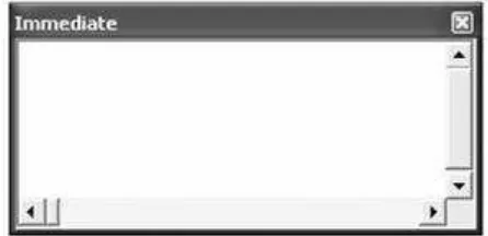 Gambar 2.7 Immediate Windows 