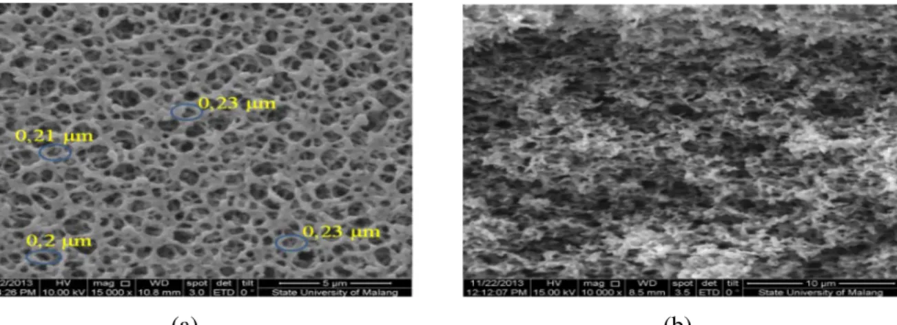 Gambar 1. Foto SEM membran selulosa ester, (a) permukaan membran dengan perbesaran  10.000x, dan  (b) penampang lintang membran dengan perbesaran 15.000x 