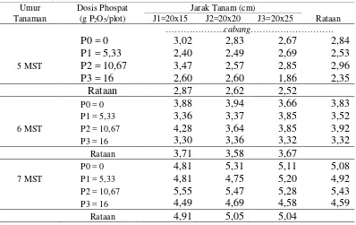 Tabel 2. Jumlah cabang bengkuang pada beberapa dosis phospat dan jarak tanam              umur  5, 6, dan 7 MST 