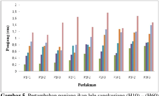 Gambar 5. Pertambahan panjang ikan lele sangkuriang (H10) – (H60)  Hasil pada Gambar 5 menunjukkan pertambahan panjang tertinggi selama  pada masing-masing perlakuan terdapat pada hari ke 60 dimana pada P1F1 =  1,2  cm, P1F2 = 1,1 cm, P1F3 = 1,5 cm, P2F1 =