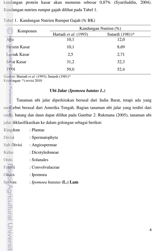 Tabel 1.  Kandungan Nutrien Rumput Gajah (% BK) 
