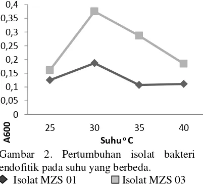 Gambar 3. Pertumbuhan isolat bakteri endofitik pada pH berbeda. Isolat MZS 01      Isolat MZS 03 
