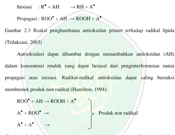 Gambar  2.3  Reaksi  penghambatan  antioksidan  primer  terhadap  radikal  lipida  (Trilaksani, 2003) 