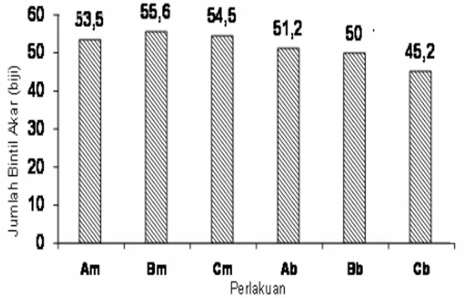 Gambar 1. Histogram Pengaruh Inokulasi Tiga  Strain Bradyrhizobium japonicum   terhadap Jumlah Bintil Akar 