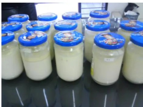 Gambar 5. Isolat Bakteri yang Sudah Ditumbuhkan pada Susu Segar Steril 
