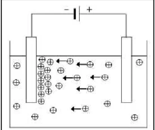 Gambar 1  Pergerakan partikel ke arah  elektroda (Corni et al, 2008) 