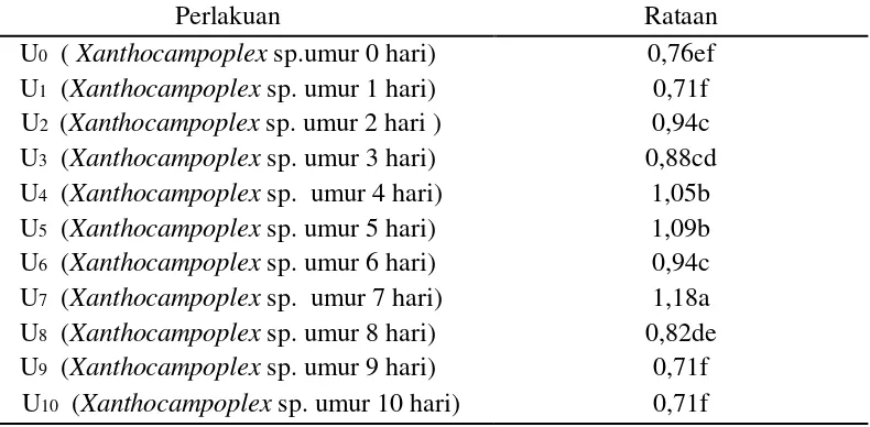Tabel 3. Pengaruh umur Xanthocampoplex sp. terhadap nisbah kelamin betina 
