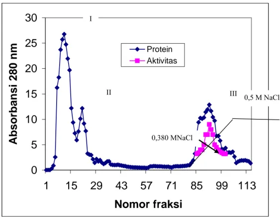 Gambar 1. Hasil purifikasi protein  dari  Pheretima javanica menggunakan  kromatografi kolom DEAE, kandungan protein masing-masing  fraksi diukur absorbansinya dengan spektrofotometer pada λ 280  nm beserta aktivitasnya dengan difusi agar pada media nutrie