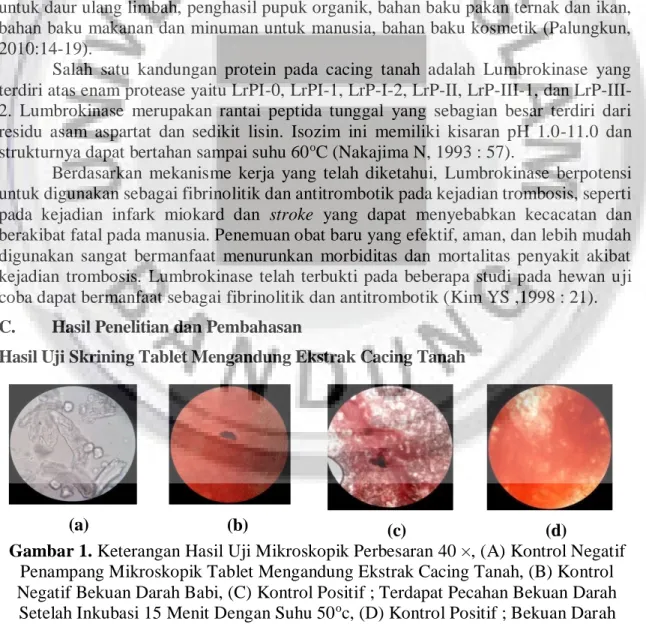 Gambar 1. Keterangan Hasil Uji Mikroskopik Perbesaran 40 ×, (A) Kontrol Negatif  Penampang Mikroskopik Tablet Mengandung Ekstrak Cacing Tanah, (B) Kontrol  Negatif Bekuan Darah Babi, (C) Kontrol Positif ; Terdapat Pecahan Bekuan Darah 