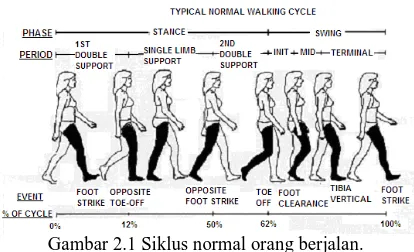 Gambar 2.1 Siklus normal orang berjalan.  