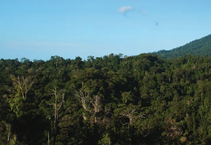 Gambar 2.  Cagar Alam Tangkoko, salah satu site keanekaragaman hayati di Sulawesi Utara