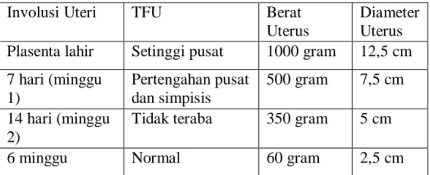 Tabel 5. Perubahan-Perubahan Normal Pada Uterus Selama  Postpartum 