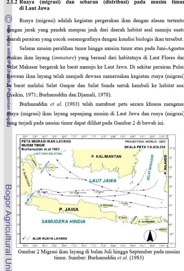 Gambar 2 Migrasi ikan layang di bulan Juli hingga September pada musim  timur. Sumber: Burhanuddin et al