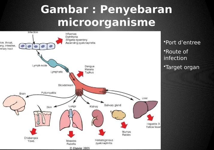 Gambar : Penyebaran 