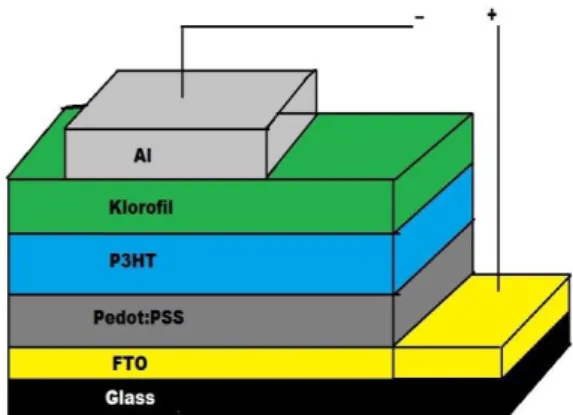 Gambar  1.  Struktur  sel  surya  organik  FTO/Pedot:PSS/P3HT/Klorofil/